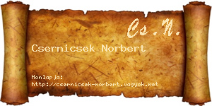 Csernicsek Norbert névjegykártya